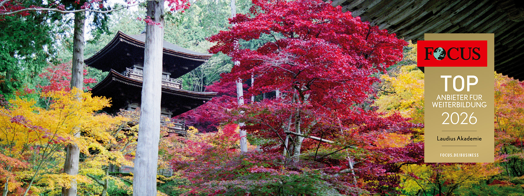 Japanisch für Anfänger*innen (A1)
