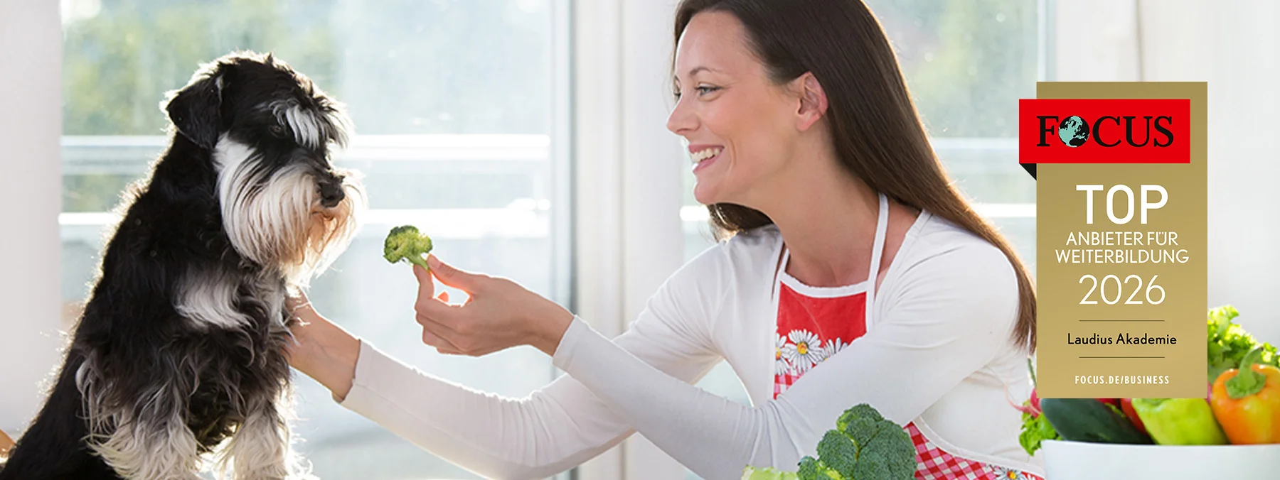 Tierernährungsberater*in (Hunde und Katzen)