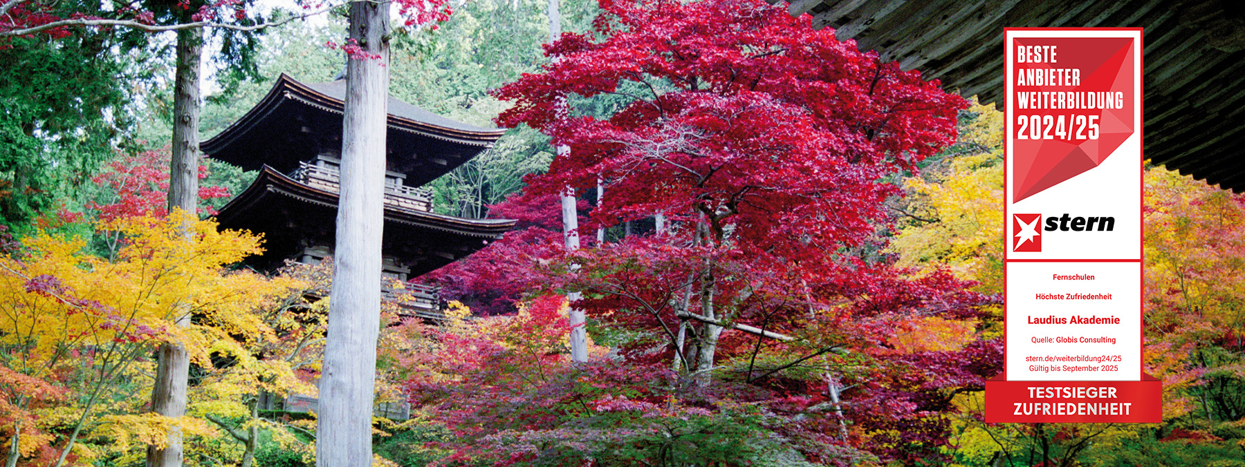 Japanisch für Anfänger*innen (A1)